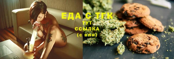 тгк Дмитриев