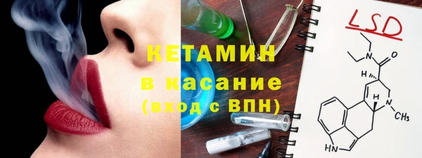 тгк Дмитриев