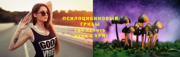 тгк Дмитриев