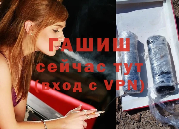 тгк Дмитриев