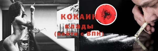 тгк Дмитриев