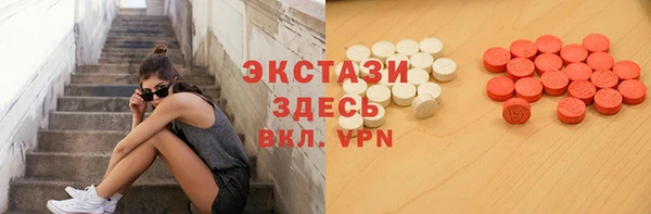 тгк Дмитриев