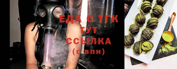 тгк Дмитриев