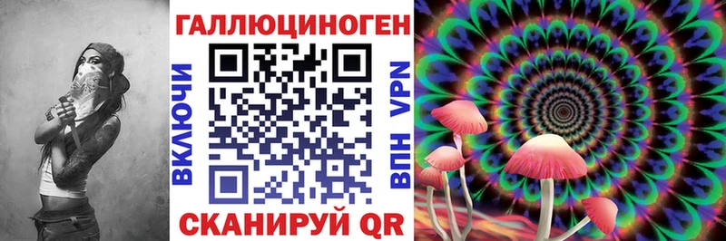 Купить где  Бабушкин  Псилоцибиновые грибы GOLDEN TEACHER 